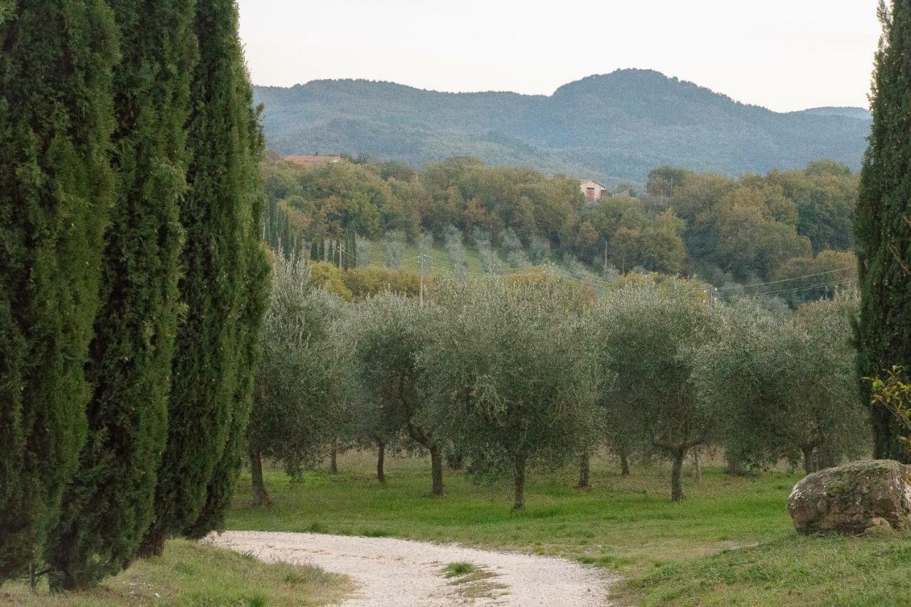 Апартаменты La Coccinella San Venanzo Экстерьер фото